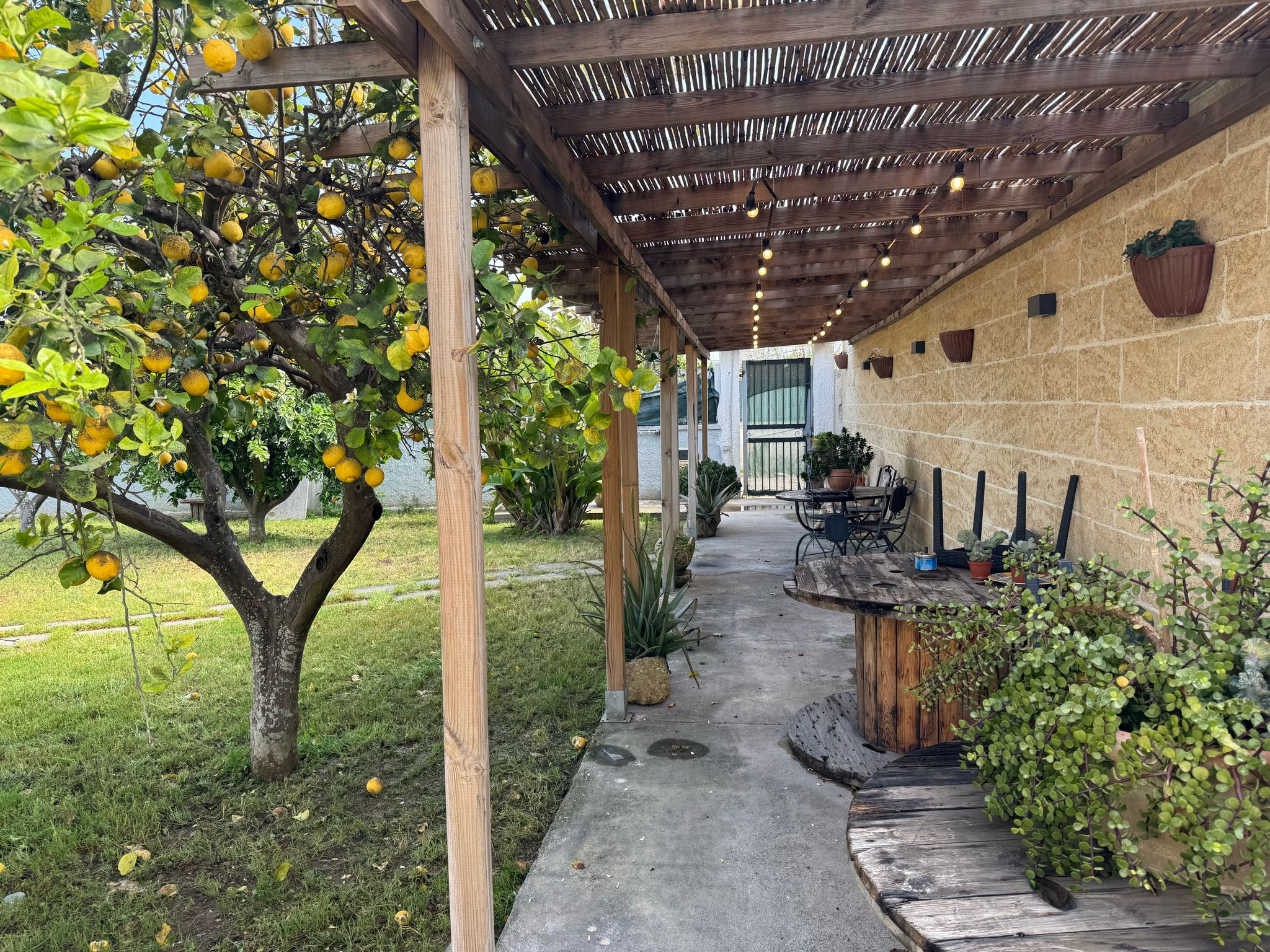 Dear Mary B&B — giardino