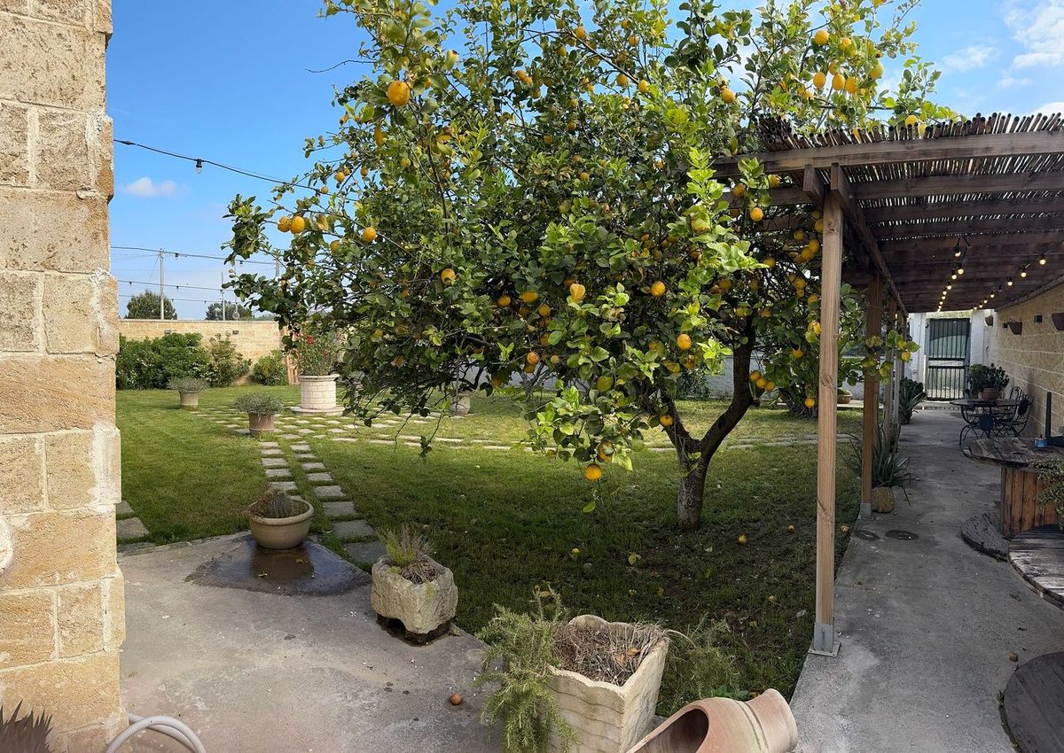 Dear Mary B&B — giardino e struttura