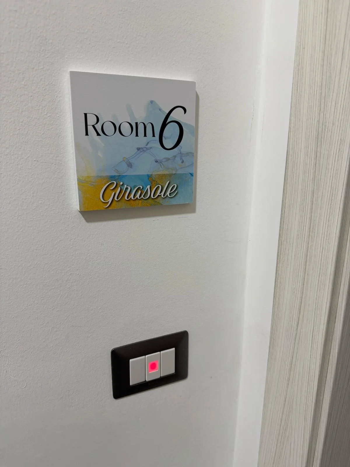 Girasole — altra angolazione