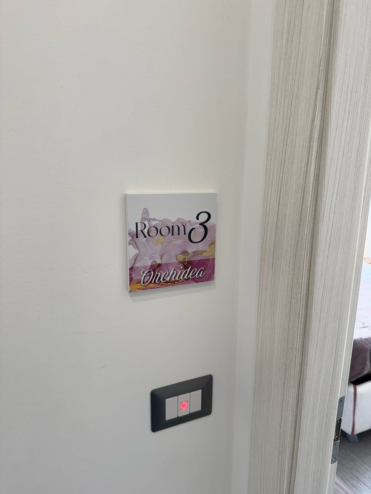 Orchidea — altra angolazione