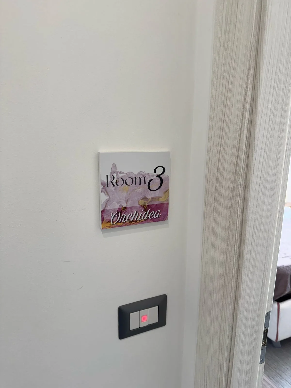 Orchidea — altra angolazione